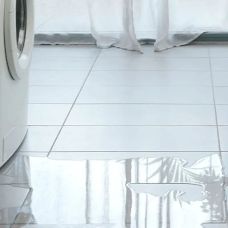 Appliance Leak Cleanup in Honolulu County, HI